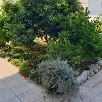 In 34905 Pirovac
