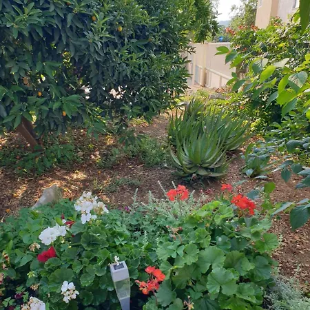 מלון In 34905 3*