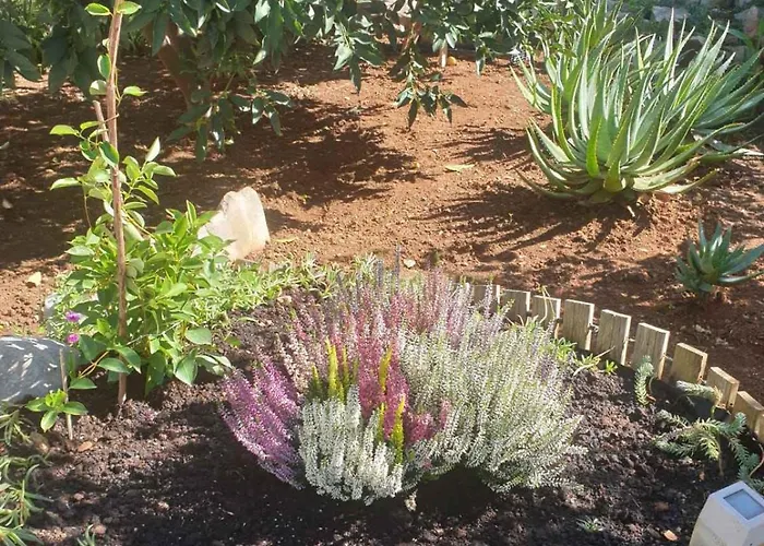 アパート In 34905