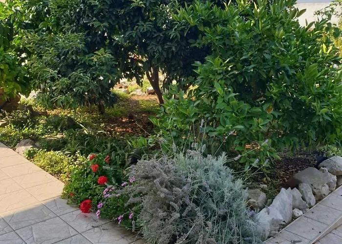 In 34905 بيروفاتش